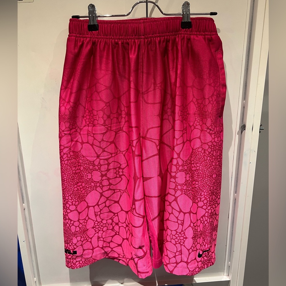 Nike LeBron Dri-Fit Shorts